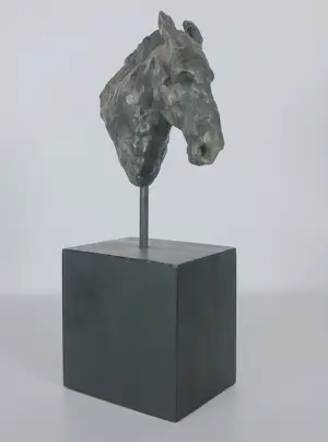 Brons (Onbekend) - Paardenhoofd kopen? Bied vanaf 100!