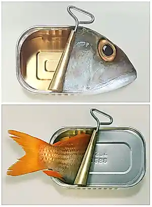 Buy Dominic Rouse - 'Fish Can & Fish Can't' (2011) - Twee prints? Bid from 110!