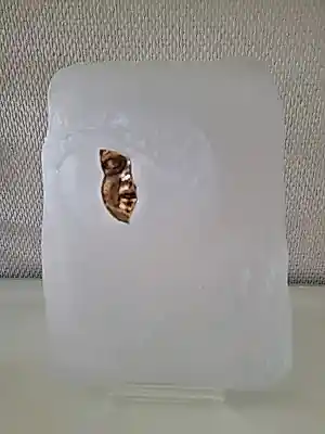 Isabel Echarri - Zeldzame Sculptuur: Isabel Echarri by Daum France – "Ophélie" kaufen? Bieten Sie von 660!