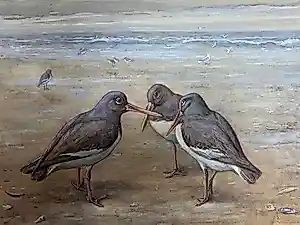 Buy Jan van Oort - Drie scholeksters op het strand? Bid from 750!