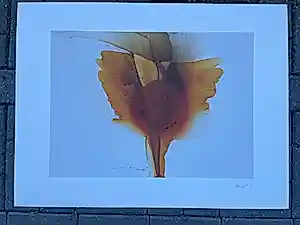 Buy Otto Piene - Frühling/Herbst? Bid from 400!