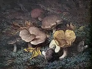 Buy Tjieke Roelofs-Bleckmann - "Paddestoelen".? Bid from 225!