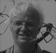 Ruud van Stokkum (1954)