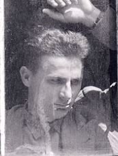 Fulvio Roiter (1926-2016)