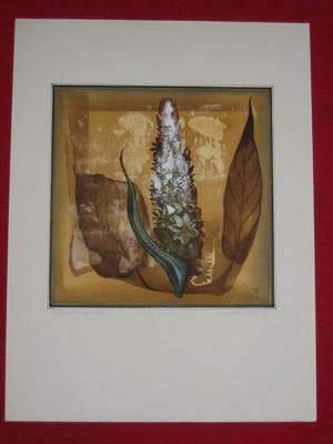 Ernst-Peter Rade - -weißer Gemer-,Acrylmischtechnik 1984 kopen? Bied vanaf 50!