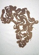 Richard Long - African Foot Print verkocht voor € 500!