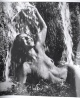 Günter Rössler - Aktfotografien. 1982 (Portfolio mit 8 Orig.-Fotografien, 4 von Rössler) verkocht voor € 270!