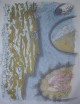 Andre Masson - Andre Masson 10er Auflage verkocht voor € 250!