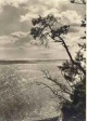 Max Baur - Auf der INSEL RÜGEN - Mappe mit 12 OriginalFotographien - VINTAGE - OriginalMontierte Silbergelatine verkocht voor € 180!