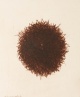 Arnulf Rainer - Ausgezeichnete Arbeit aus dem frühen Werk in der unverwechselbaren Handschrift. Kaltnadelrad., sign. verkocht voor € 380!