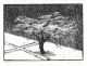 Gerhard Marcks - Baum im Schnee.Orig.Holzschnitt von 1969, handsigniert u.num. verkocht voor € 195!