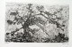 Paul Eliasberg - Bergplatane (L'arbre solitaire), Radierung, 1974, signiert, nummeriert verkocht voor € 60!