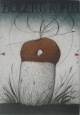 Alois Janak - BOLETUS RUFUS, Farbradierung von 1979, 77/100, handsign. verkocht voor € 70!
