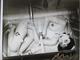 Nobuyoshi Araki - BONDAGE Handsigniertes Aktfoto 25x20cm verkocht voor € 150!