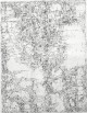 Paul Eliasberg - Carmelide, Radierung vernis mou, 1962, signiert, nummeriert verkocht voor € 90!
