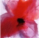 Daniela Flörsheim - Daniele Flörsheim "Red Flower For Beuys&quot; verkocht voor € 50!