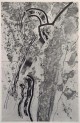 Michael Morgner - Daphne, Radierung, 1974/92 verkocht voor € 55!
