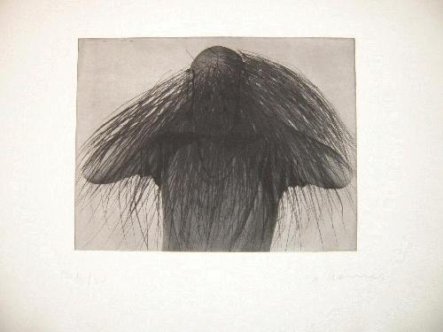 Arnulf Rainer - Darbringbietung - Strähnenhaar mit Glatze verkocht voor € 380!