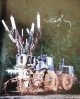 Matthew Barney - De Lama L&#180;àmina verkocht voor € 250!