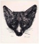 Max Hunziker - Der FUCHS - Handätzung des SCHWEIZER Surrealisten, handsigniert 1963 - 1 v. 20 Exemplaren verkocht voor € 45!