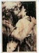 Stephan Balkenhol - Der Kuss 3, 2000, Siebdruck auf Sperrholz verkocht voor € 390!