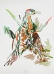 Oskar Kokoschka - Der Specht,Farblithographie verkocht voor € 140!
