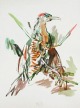 Oskar Kokoschka - Der Specht,Farblithographie verkocht voor € 140!