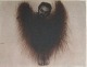 Arnulf Rainer - Der zornige Engel verkocht voor € 400!