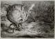 A. Paul Weber - Drama im Garten - handsignierte Lithographie verkocht voor € 110!
