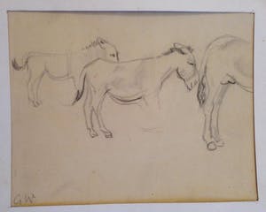 Albert Weisgerber - esel studie Kohlezeichnung kopen? Bied vanaf 155!