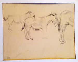 Albert Weisgerber - esel studie Kohlezeichnung kopen? Bied vanaf 155!