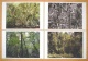 Thomas Struth - EXQUISITE PHOTOKUNST 6 Blätter - gesuchte signierte Reihe WÄLDER DER WELT ! verkocht voor € 999!