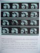Dennis Oppenheim - EXTENDED EXPRESSIONS - Original-Farboffsetdruck von 1977, handsigniert und datiert verkocht voor € 90!