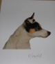 Rosemarie Trockel - farbiger Photoprint auf doppelt gefalteten Karton, orginal signiert in Bleistift verkocht voor € 250!