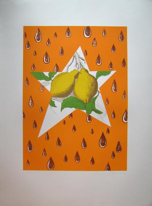 David Salle - Farblithografie, Auflage 50. The Lemon Twig, handsigniert , nummeriert verkocht voor € 99!