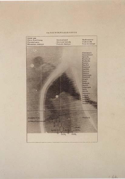 Sigmar Polke - FERNSEHBILD EISHOCKEY - handsigniertes Exemplar - OFFSETDRUCK IN SCHWARZ AUF CHROMOLUXPAPIER verkocht voor € 525!