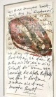 Aloys Rump (1949)