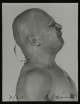 Arnulf Rainer - GLATZKOPF I, Unikat, handsignierte Originalfotografie von 1972 verkocht voor € 995!