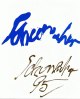 Emil Schumacher - Handsignatur mit Goldstift von 1995 verkocht voor € 125!