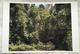 Thomas Struth - Handsigniert, limitiert, vergriffen - Tintenstrahldruck aus Paradise verkocht voor € 500!