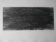 Max Uhlig - Handsignierte Original-Radierung "Meerblick, herbstlich&quot;, 1979/80 verkocht voor € 130!