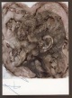 Arnulf Rainer - handsigniertes Multiple - KPK - Totenmaske / Friedrich der Grosse von 1978 / 79 verkocht voor € 45!
