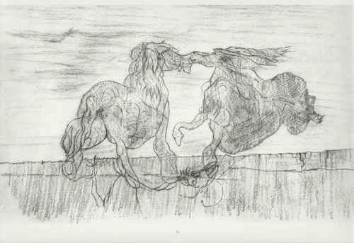 Max Ernst - - HENGST und WINDSBRAUT - Histoire Naturelle 1926 - FROTTAGE in EDELDRUCK durch HATJE Stuttgart 1972 verkocht voor € 48!