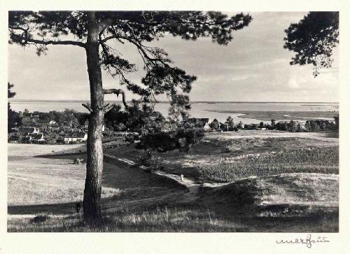 Max Baur - HIDDENSEE - SEELANDSCHAFT mit TANNE - Handsignierte OriginalFotographie in der Tradition d.BAUHAUSes verkocht voor € 39!