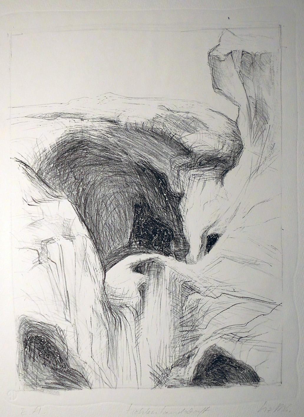 Liz Mields-Kratochwil - Höhlenlandschaft, Lithografie 1989 kopen? Bied vanaf 56!