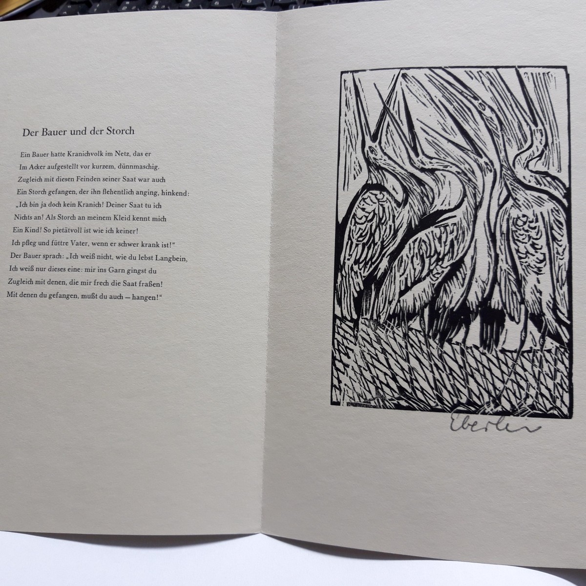der bär in der fabel