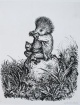 A. Paul Weber - Igel, Lithografie, undatiert verkocht voor € 80!