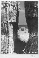 Ilse Pässler (1905-1989)