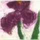 Klaus Fussmann - IRIS -- handsigniert --1998 verkocht voor € 110!
