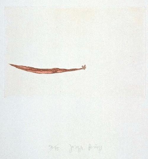 Joseph Beuys - JOSEPH BEUYS RADIERUNG HANDSIGNIERT SEEGURKE verkocht voor € 549!